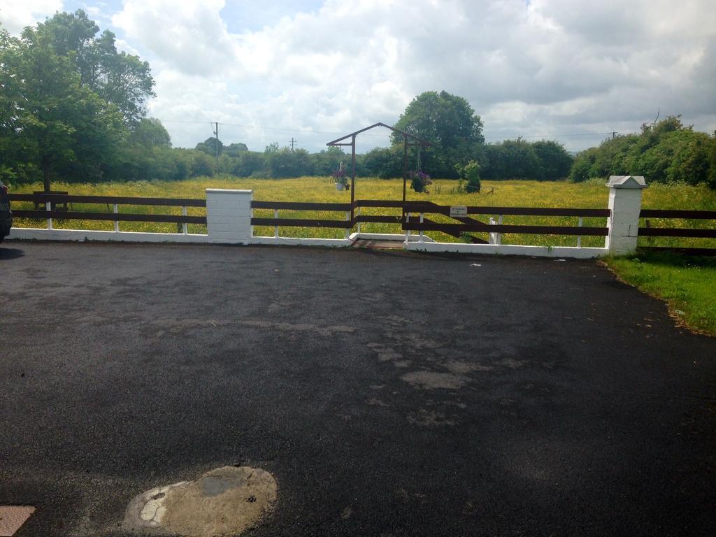 Palm Grove B&B Cashel (Tipperary) Luaran gambar